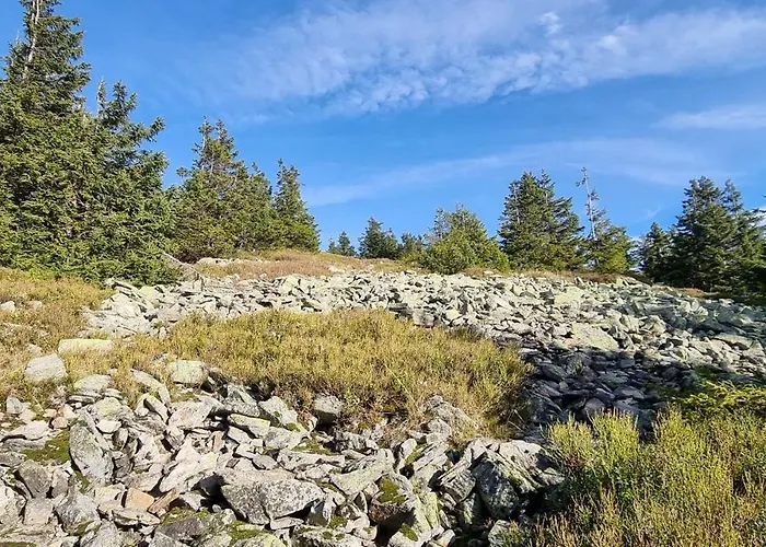 Domek alpejski Kanadsky Srub Stribrnice *